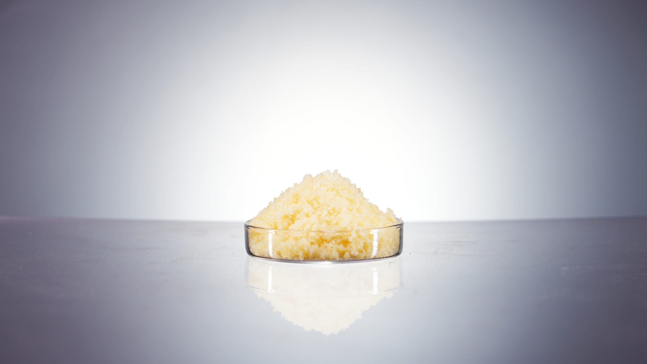 Natural Soya Phospholipids PC94