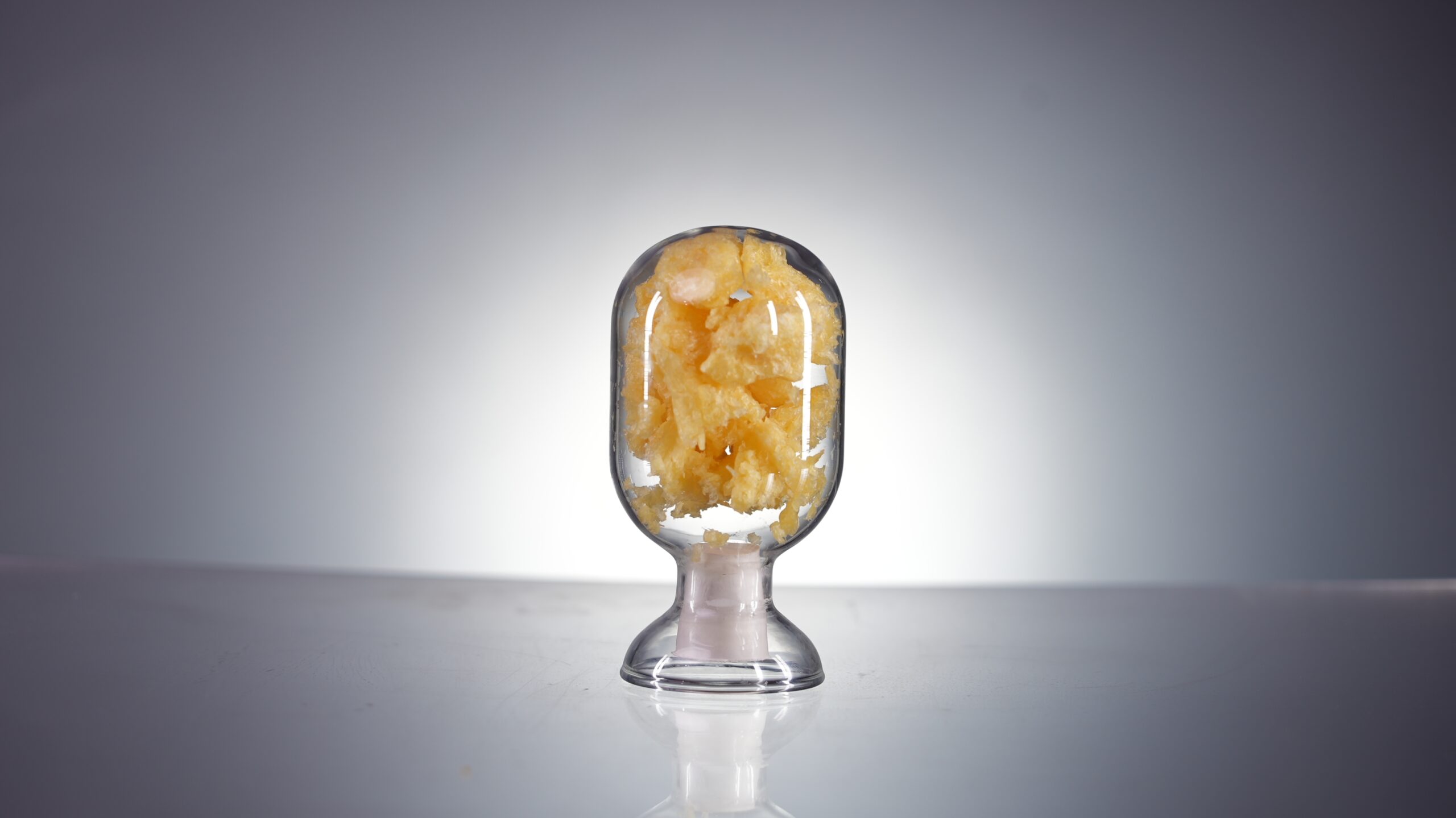 Natural Soya Phospholipids PC90