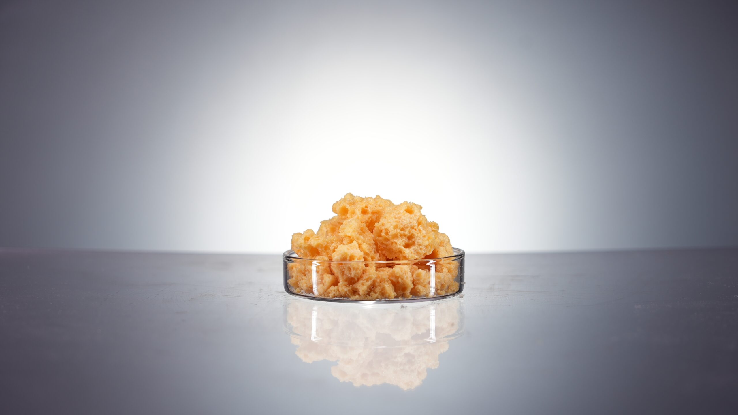 Egg Yolk Lecithin(For Injection) E80