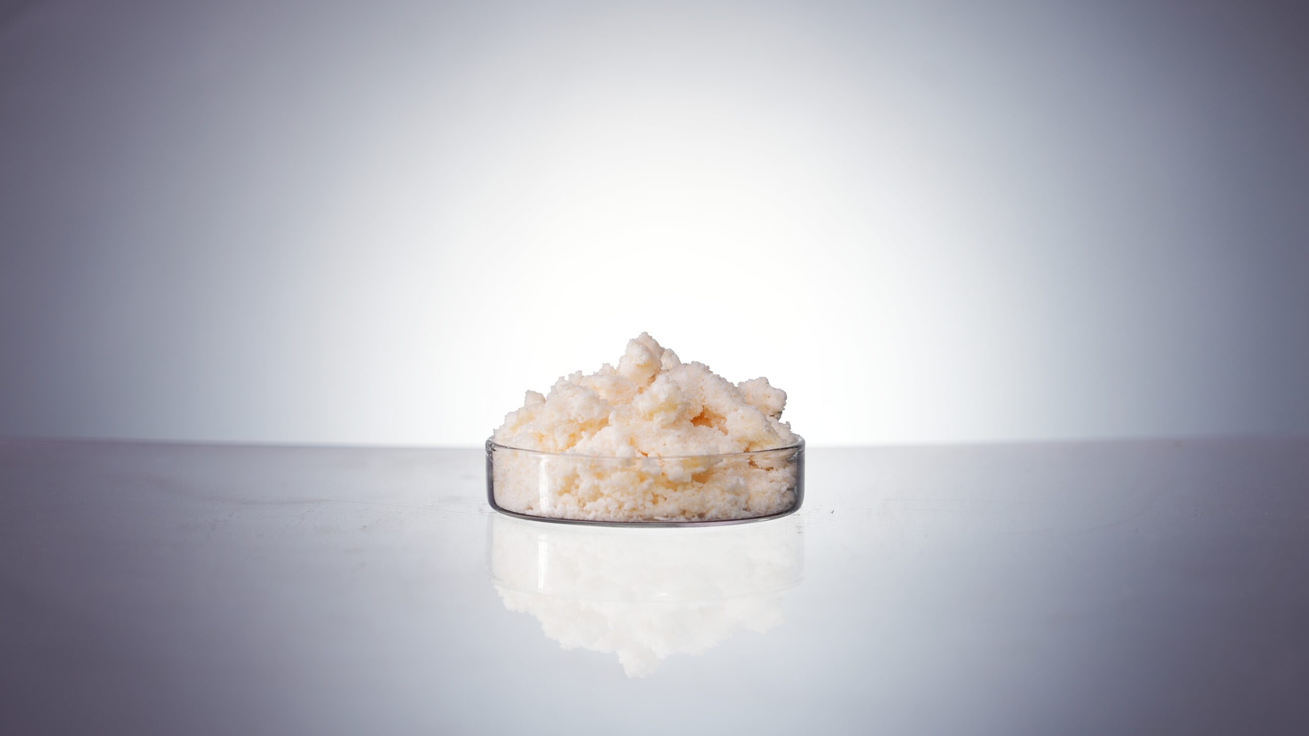 Egg Yolk Lecithin(For Injection) E98